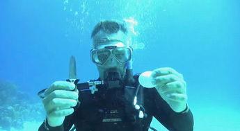 美军潜水员爆料新闻视频,深海秘密行动内幕曝光